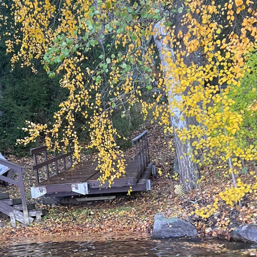 laituri rannalle nostettu