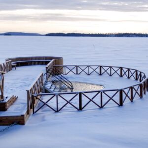 Avantouintiportaat, ei malleja