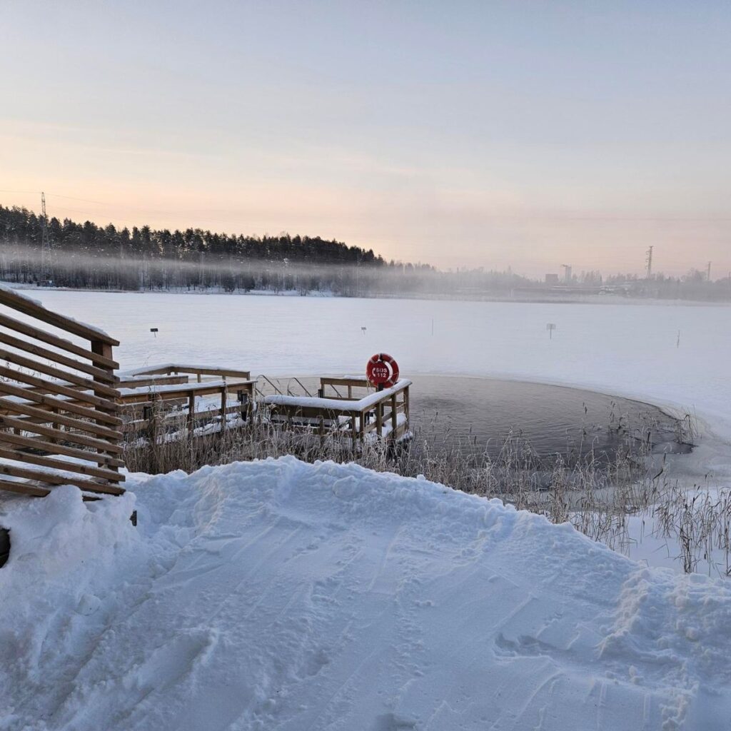 talviuintilaituri jyväskylän seudun avantouimarit kuva sivulta