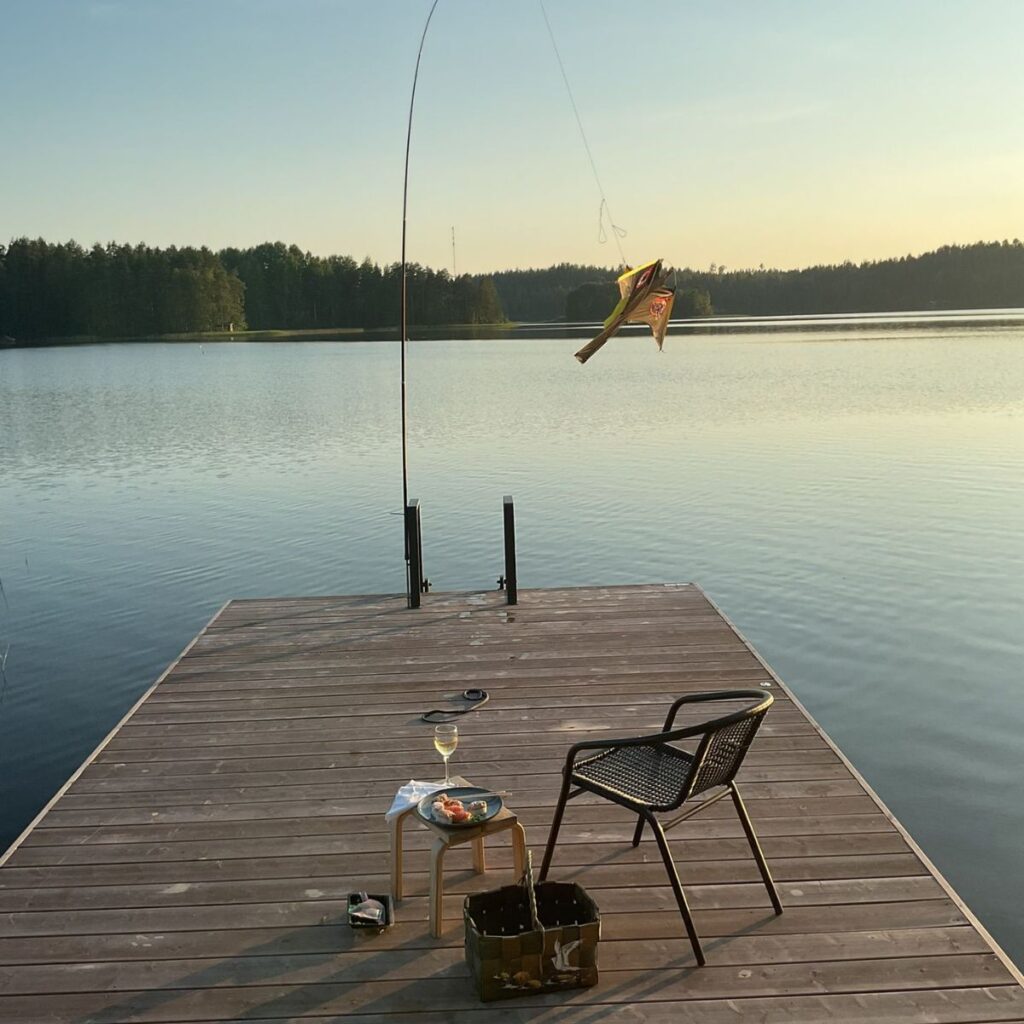 Mökkilaituri ja lintujen karkotin